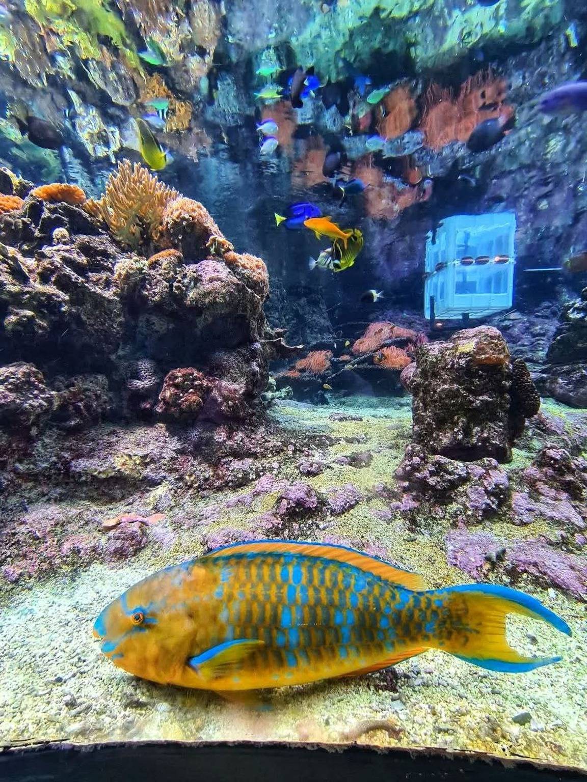 Entire apartment, Visit_Genova New Family Apartment, 4 Bedrooms-Visit_Genova in Genova (City), Genoa