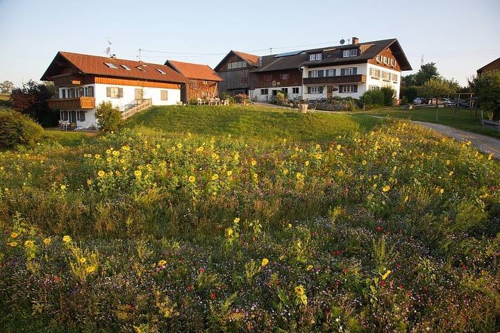 Ganze Ferienwohnung, Ferienwohnung Bergblick ****, Hof Alpenseeblick, Nesselwang/Attlesee/Allgäu in Nesselwang, Bayerisch Schwaben