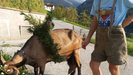 Ferienhaus für 8 Personen in Tuxer Alpen, Weerberg, Bild 4