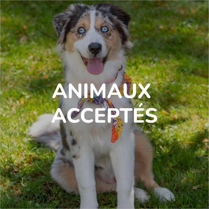 Hôtel pour 2 personnes, avec vue et terrasse, animaux acceptés à Rodez - 4