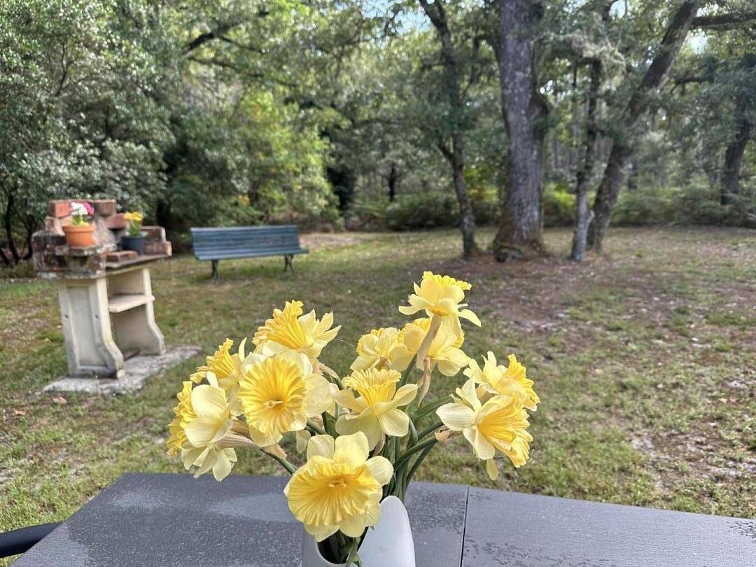 Gîte de Tambourin in Argelouse, Landes