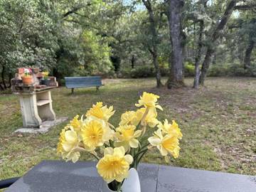 Gîte pour 3 Personnes dans Argelouse, Landes, Photo 1
