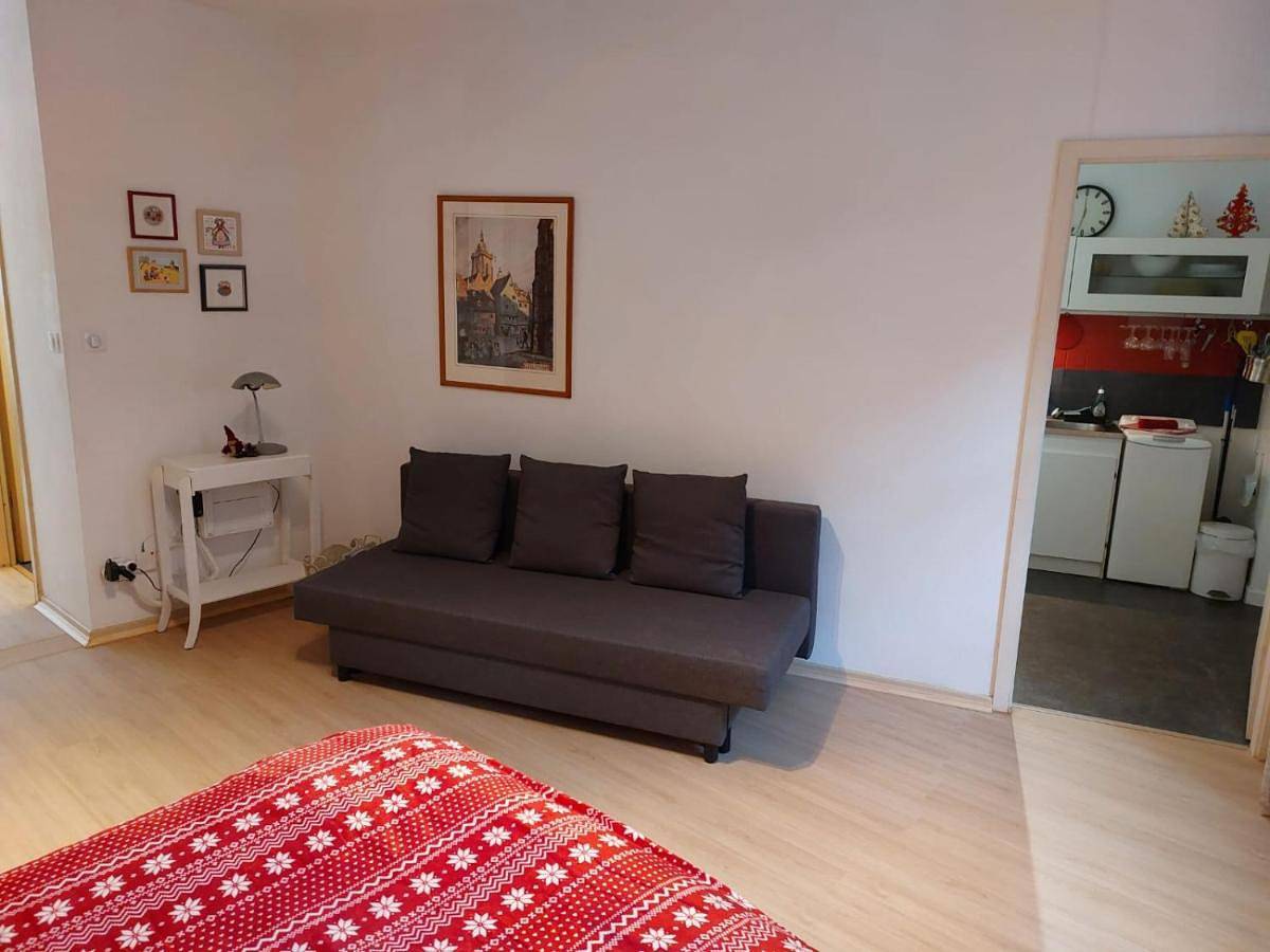 Appartement entier, One-Bedroom Apartment in Ribeauvillé, Parc naturel régional des Ballons des Vosges
