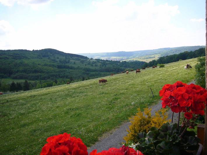 Ganze Ferienwohnung, Ferienwohnung Rhönwiese in Birx, Biosphärenreservat Rhön