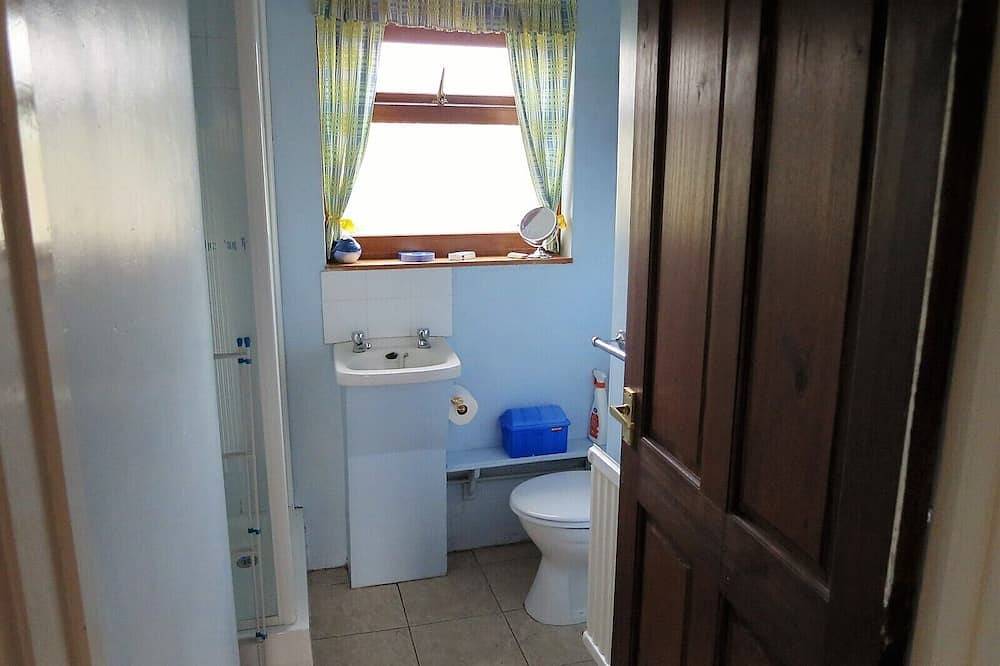 Double Ensuite with Shower at Cae y Rhedyn Annexe in Llangynidr, Brecon Beacons