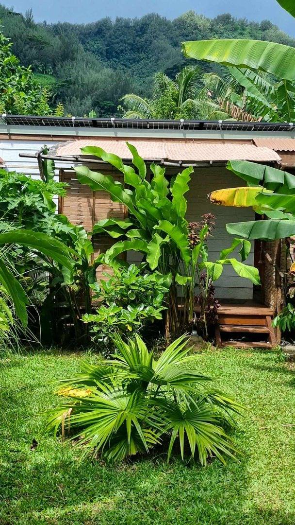 Gîte pour 2 personnes, avec jardin dans Mo'orea - 2