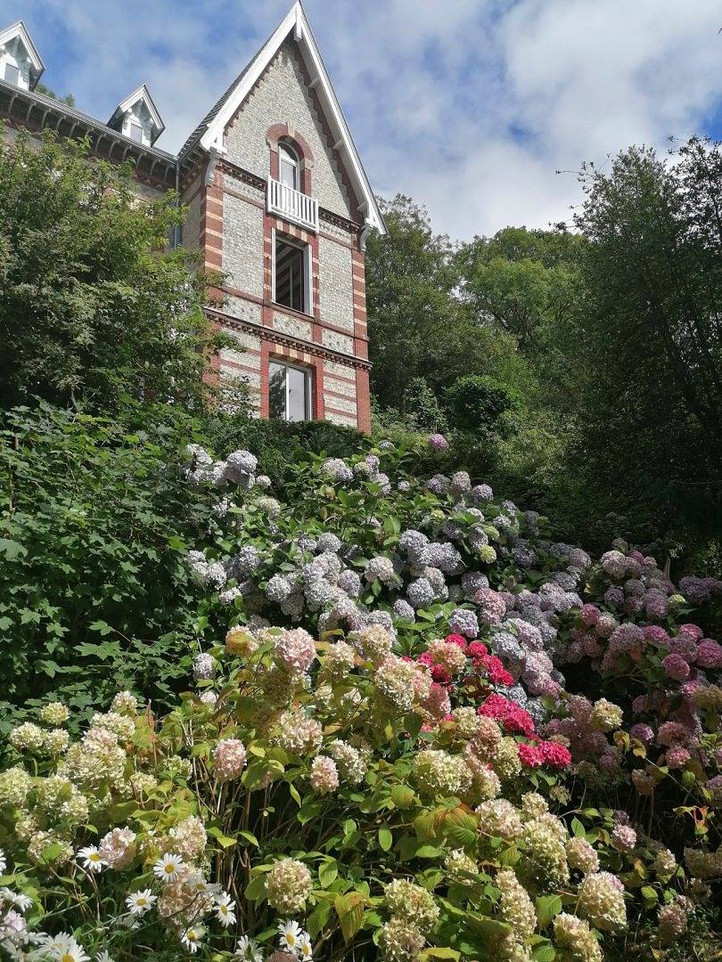 Villa Eliane - parking privé - Chambre double deluxe avec douche in Étretat, Région du Havre