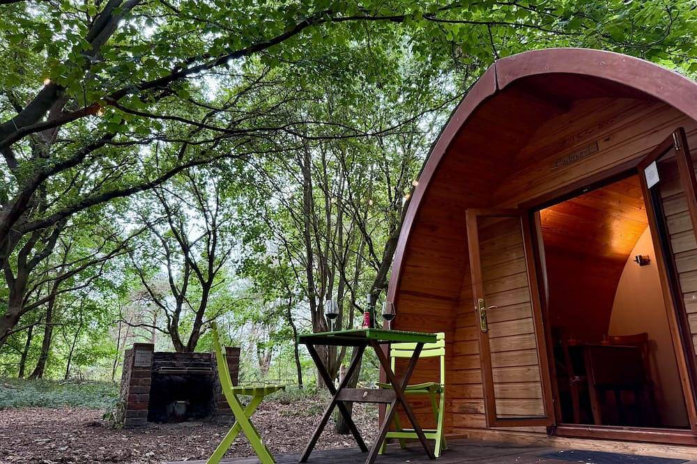 Boudicca Pod in Elveden Forest, Thetford Forest Park