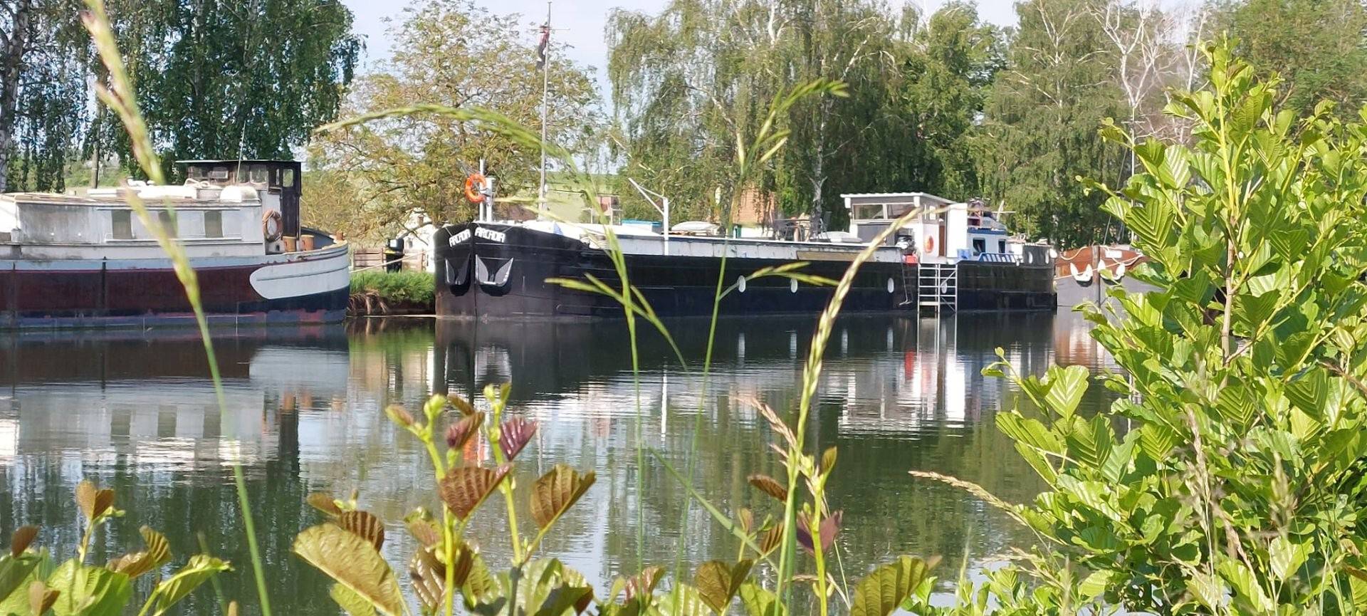 Gîte auf einem Hausboot: Einzigartiges Erlebnis in Elsass in Region Straßburg