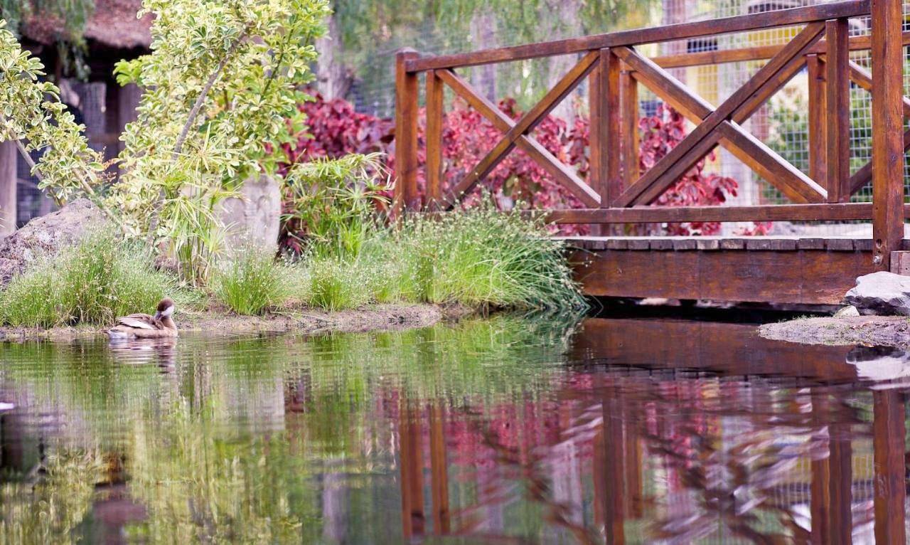 Resort für 10 Personen mit Sauna in Playa de las Américas, Arona
