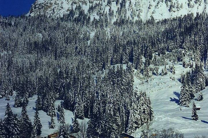 Bed and Breakfast für 2 Personen in Tannheim (Tirol)