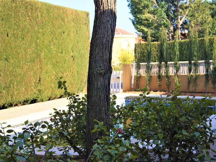 Casa rural para 8 personas, con jardín en Peñíscola - 3