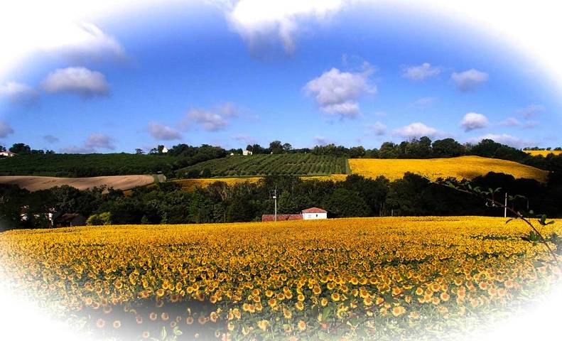 Location de vacances pour 8 personnes, avec jardin ainsi que piscine et vue à Feugarolles