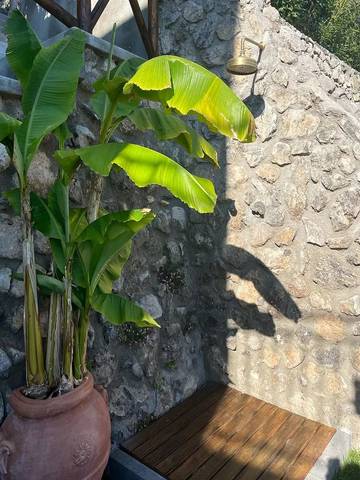 Villa for 8 People in Positano, Amalfi Coast, Photo 3