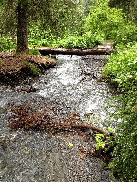 Chalet für 4 Personen, mit Terrasse - 1
