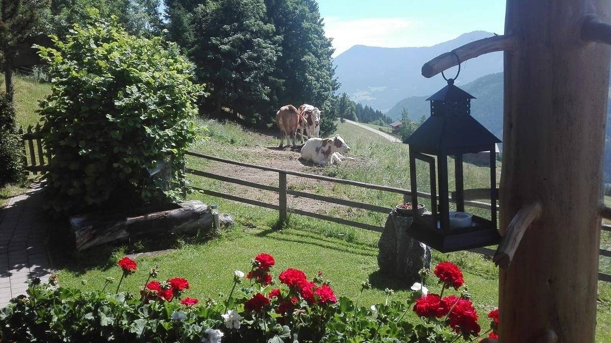 Ruhe, Natur pur und Panorama in der  Neukam Hütte by Fewo-Plan in Bischofshofen, Ski Amadé