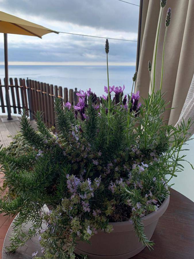 Hotel Rosita in Finale Ligure, Commune de Finale Ligure