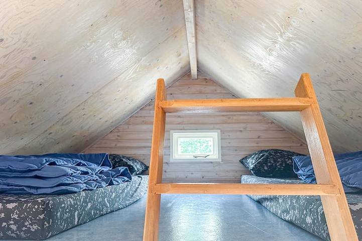 Ferienhaus für 4 Personen, mit Garten, mit Haustier in Ellemeet - 4