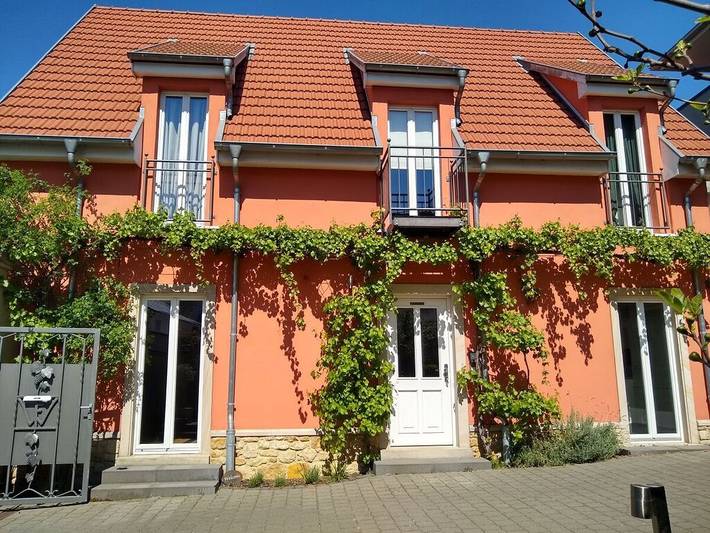 Ferienhaus für 8 Personen, mit Terrasse, mit Haustier in Rheinhessen - 2
