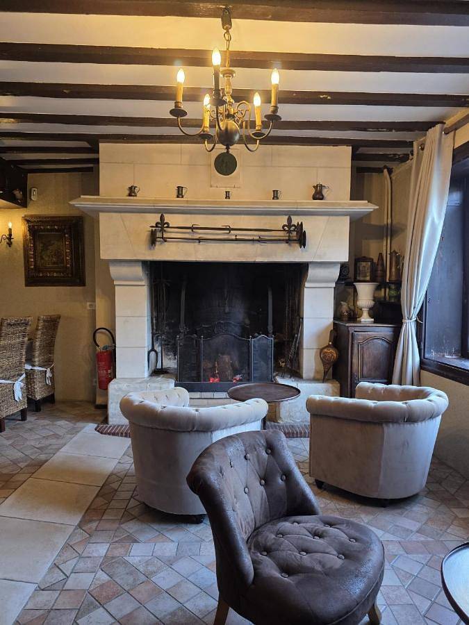 Hôtel pour 2 personnes, avec piscine et jardin, animaux acceptés à Chenonceaux - 4