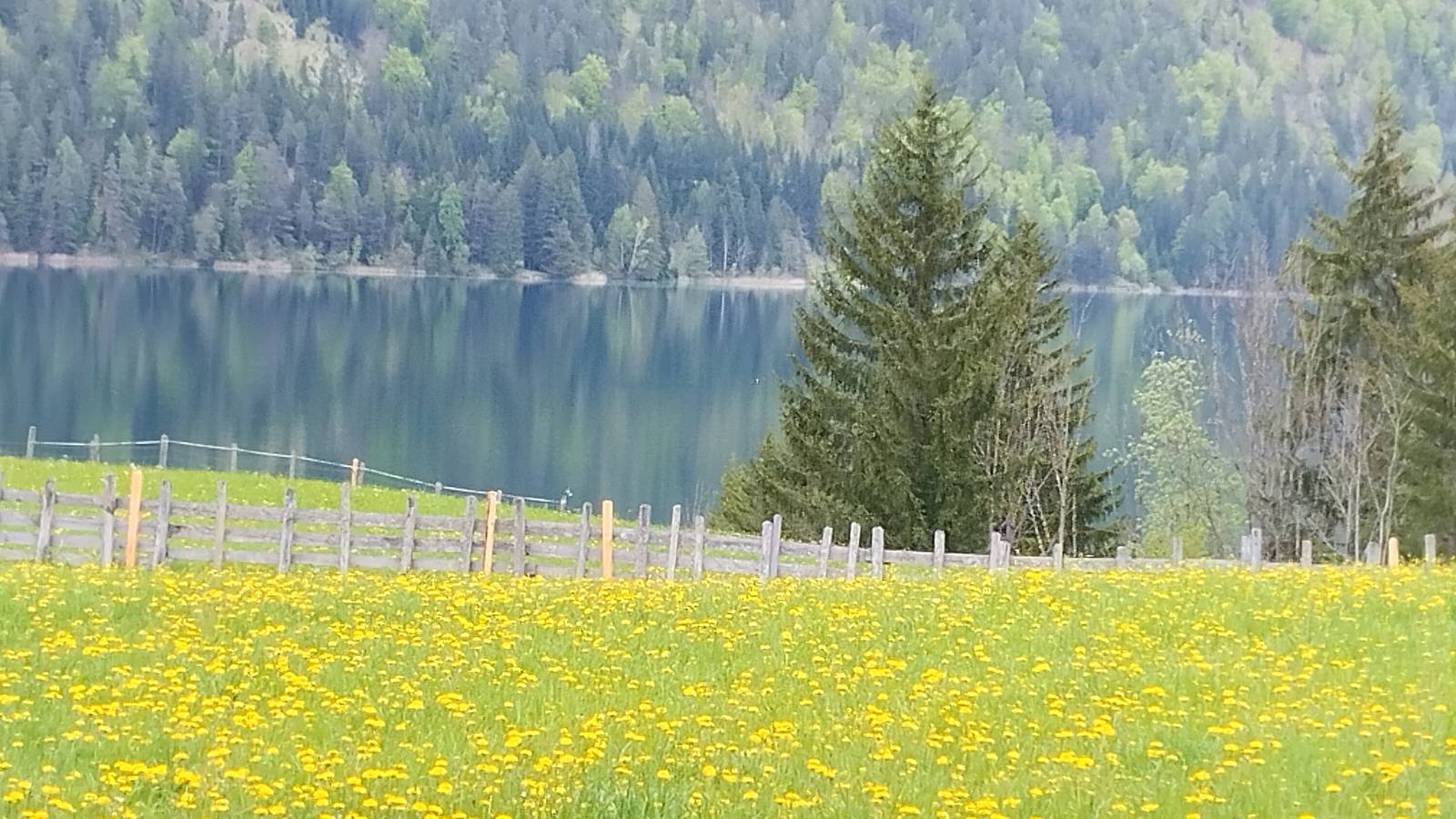 Apartamento entero, Apartamento 'Birke' con vistas al lago, terraza privada y Wi-Fi in Weissensee, Oberkärnten