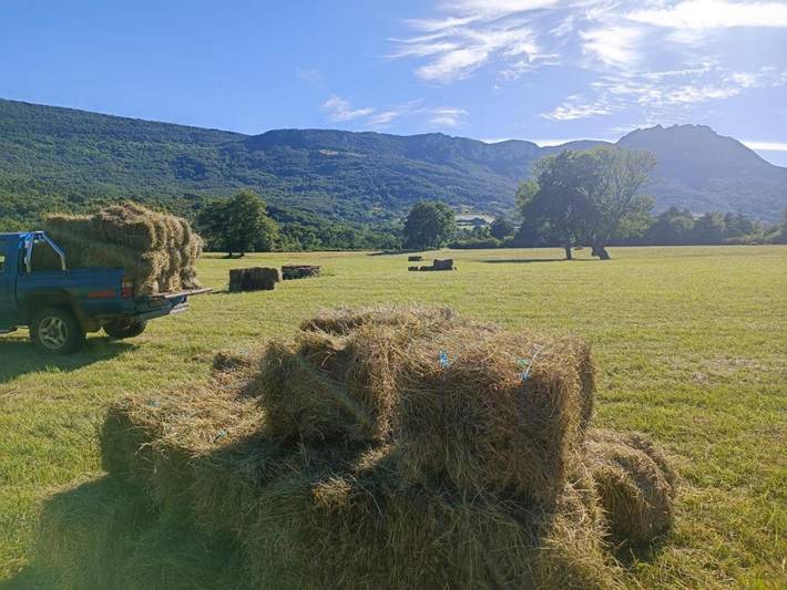 Gîte pour 6 personnes, avec jardin à Camps-sur-l'Agly - 4
