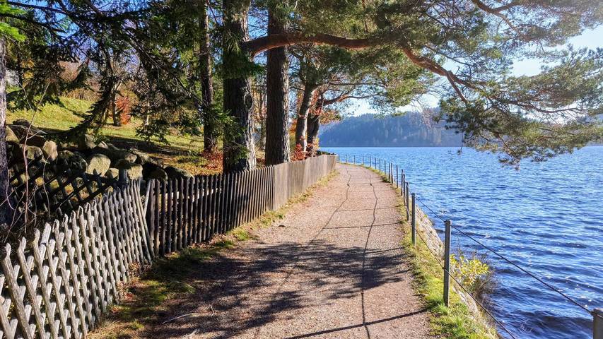 Gîte pour 4 personnes, avec terrasse, adapté aux familles à Schluchsee - 3