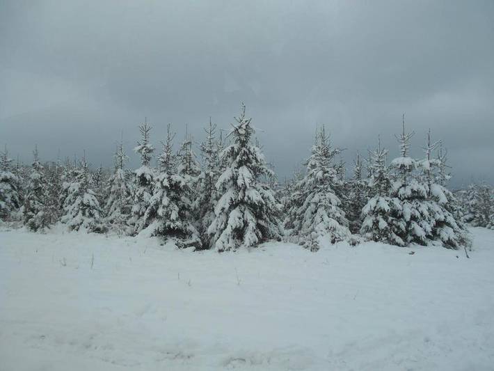 Gîte pour 4 personnes, avec vue et jardin, animaux acceptés à Rendeux - 4
