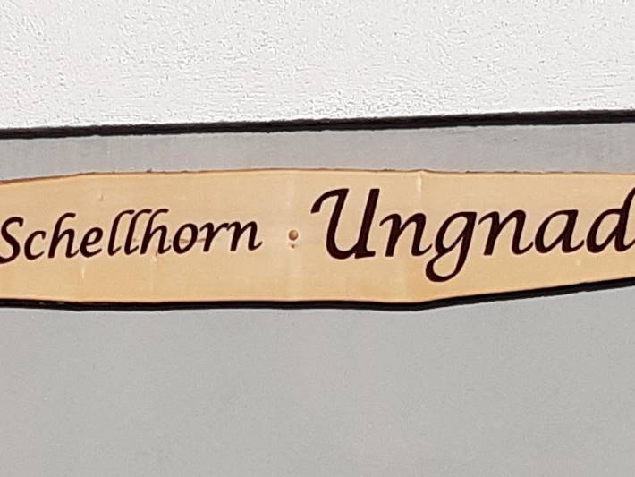 Ganze Ferienwohnung, Ungnaden - Sonnbergblick in Niederau, Wildschönau