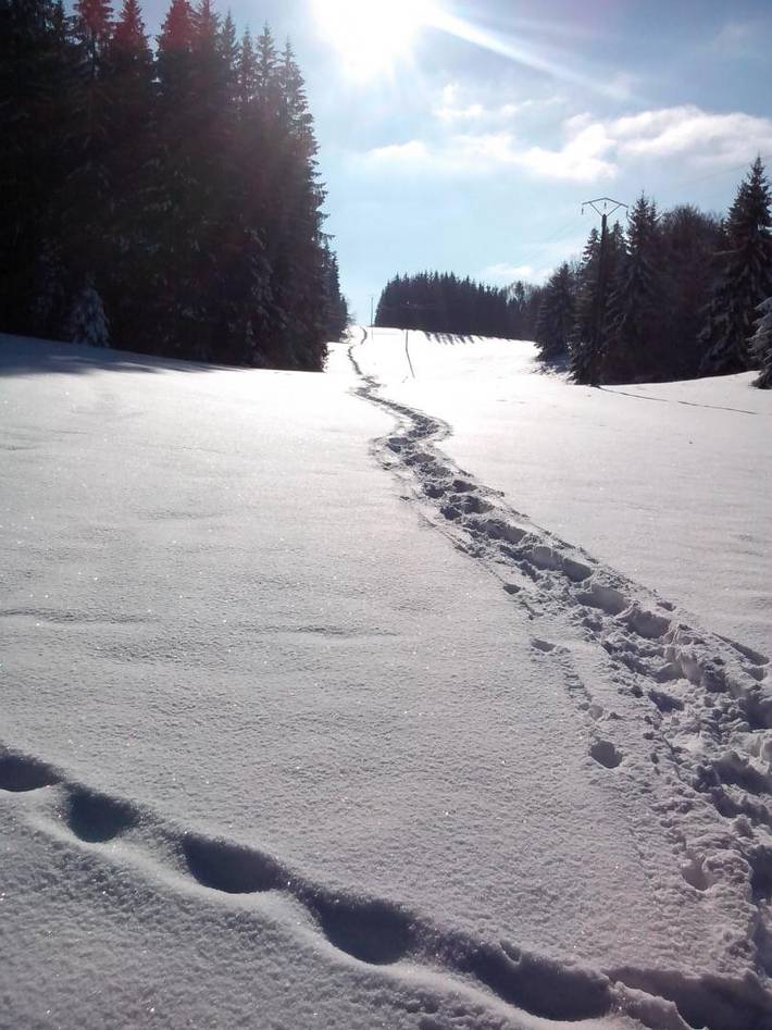 La Césarine in Leschères, Parc naturel régional du Haut-Jura