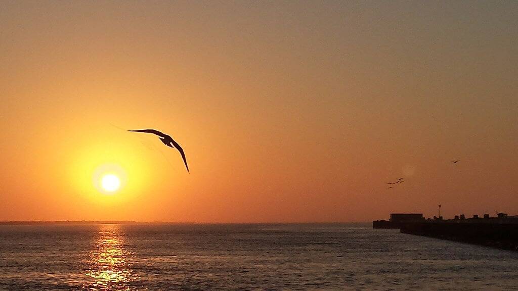 Quarter Deck- 2 Bedroom- In-Town and Near the Beach, Pet Friendly! in Port Aransas, Mustang Island