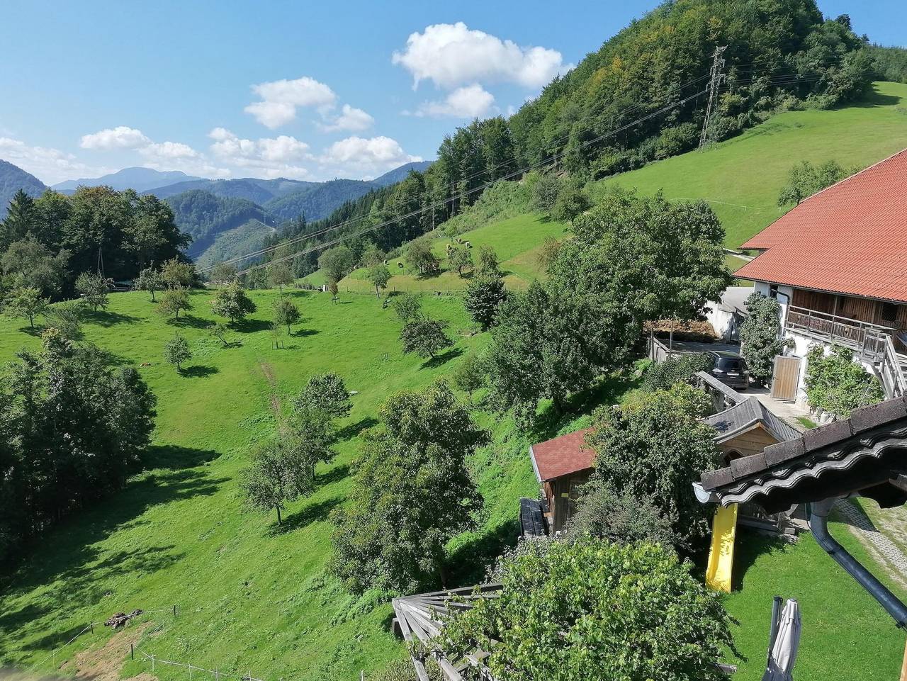 Ferienhof Rabenreith - Einzelzimmer Adlerhorst 3, Dusche/Wc, 1 Schlafraum in Großraming, Steyr-Land