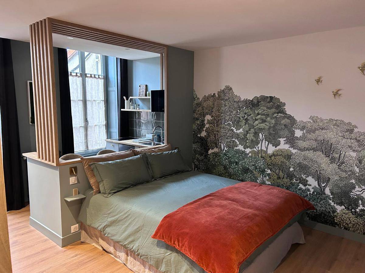 Appartement entier, Hôtel Particulier Nontron - chambre d'hôtes et meublés de tourisme in Nontron, Parc naturel régional Périgord-Limousin