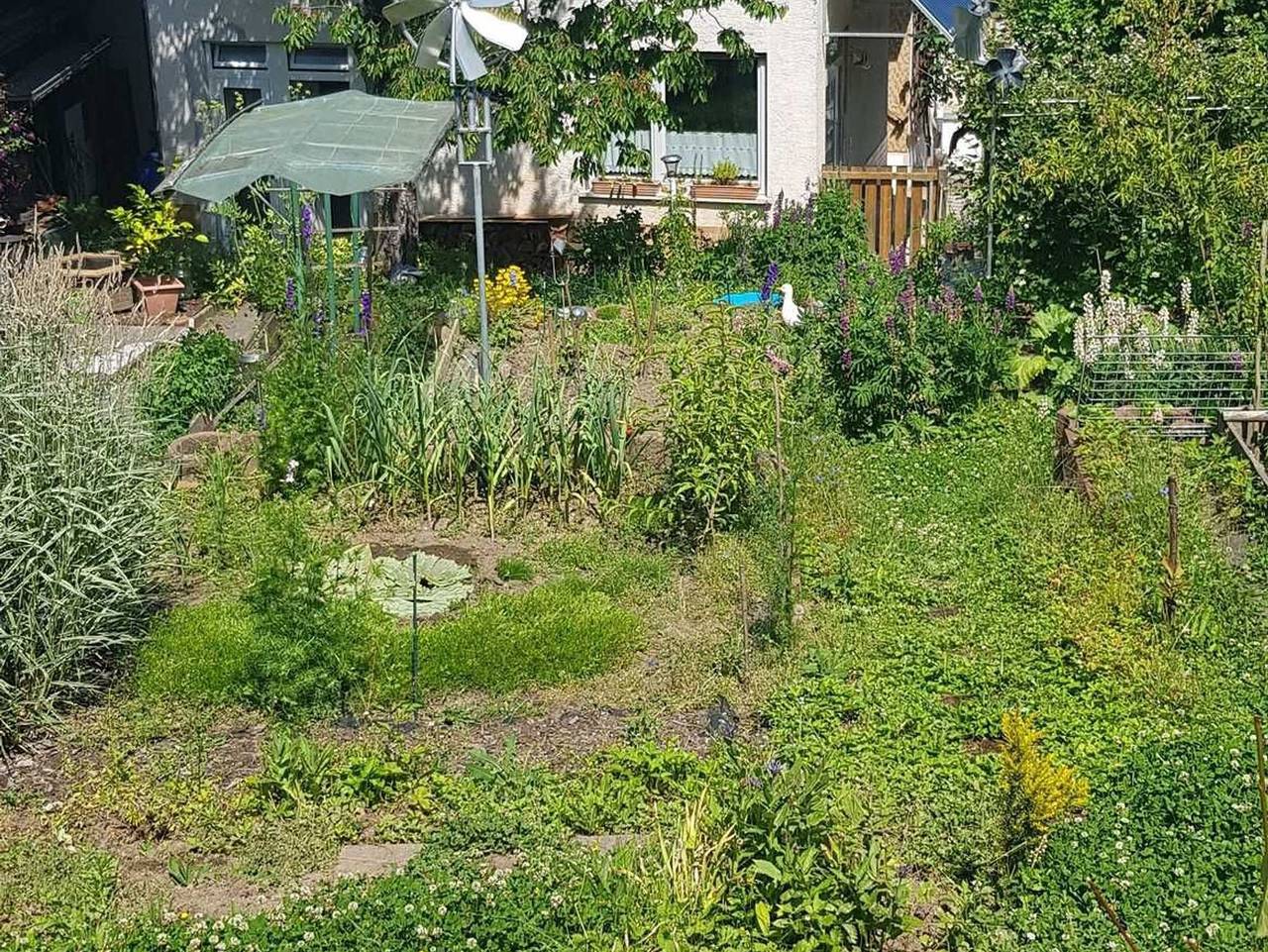 Ganze Ferienwohnung, Ferienwohnung Wendel - Ferienwohnung Wendel in Erbach im Odenwald, Main-Odenwald
