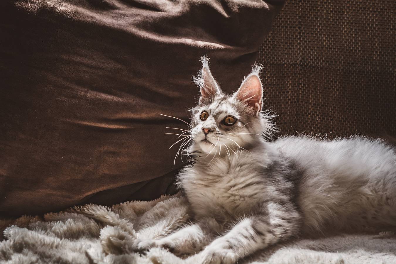 Ganze Ferienwohnung, Testhaus Büsum - Büsum Test 2 002 Nicht Buchen in Hafen Büsum, Büsum