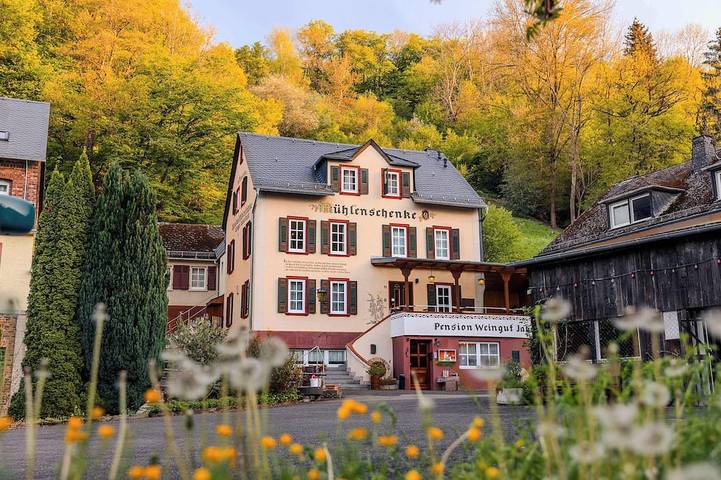 Ferienhaus für 22 Personen, mit Garten und Whirlpool sowie Pool und Balkon, mit Haustier in Sankt Goar - 3