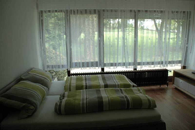 Ganze Ferienwohnung, Ferienwohnungen Fetscher - 1-Zimmer-Fewo 2, Parterre, 24 m² in Reichenau, Untersee