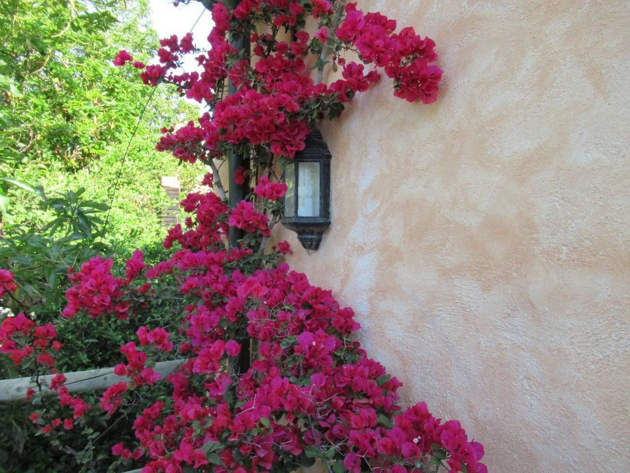 Gemütliches Ferienhaus in Tíjola mit Grill, Garten und Terrasse in Órgiva, Provincia de Granada