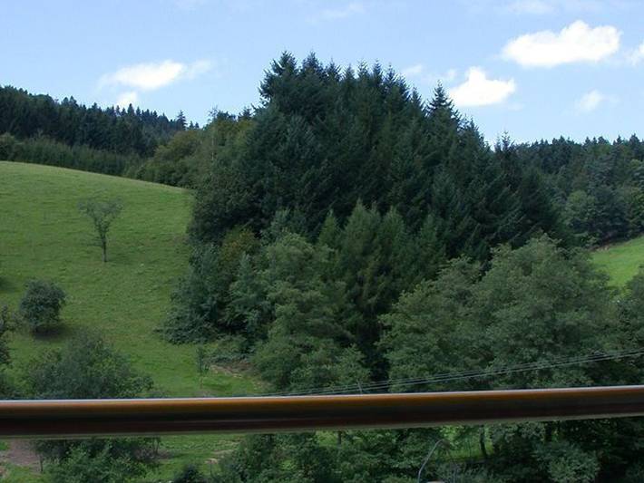 Ganze Ferienwohnung, Mockhof - Bachhüsliblick in Waldkirch, Südschwarzwald