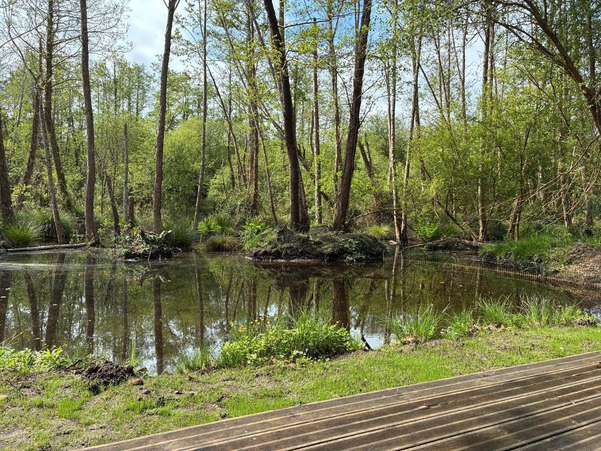 La Cabane du Bûcheron in La Teste-de-Buch, Région d'Arcachon