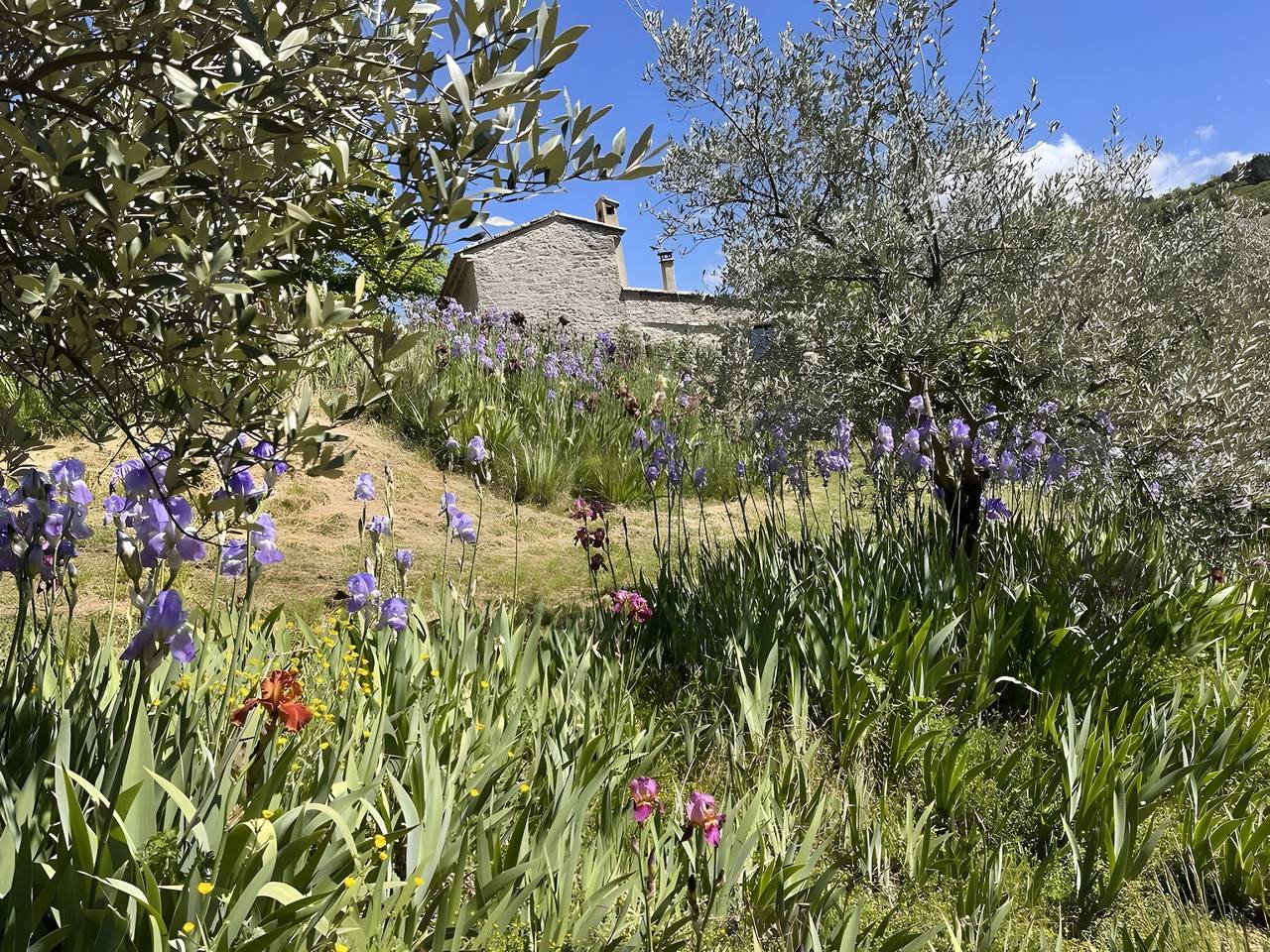 Mas en pierre in Sainte-Euphémie-sur-Ouvèze, Région de nyons