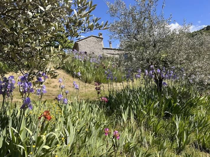 L'Oustalet des Buissières – Casa in pietra con piscina privata e vista sulla valle in Sainte-Euphémie-sur-Ouvèze, Nyons e dintorni
