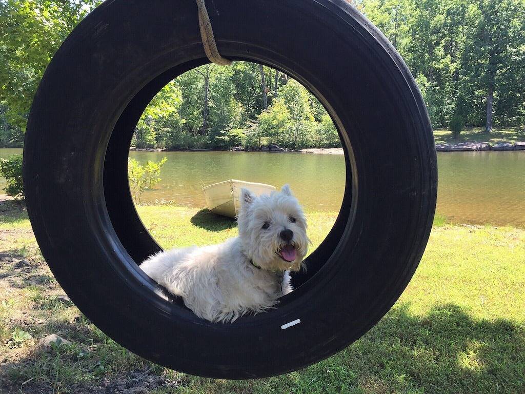 Banjo Bungalow Lakefront Kabine in Grundy County