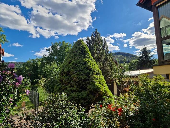 Ferienhaus für 6 Personen, mit Garten in Rudolstadt - 3