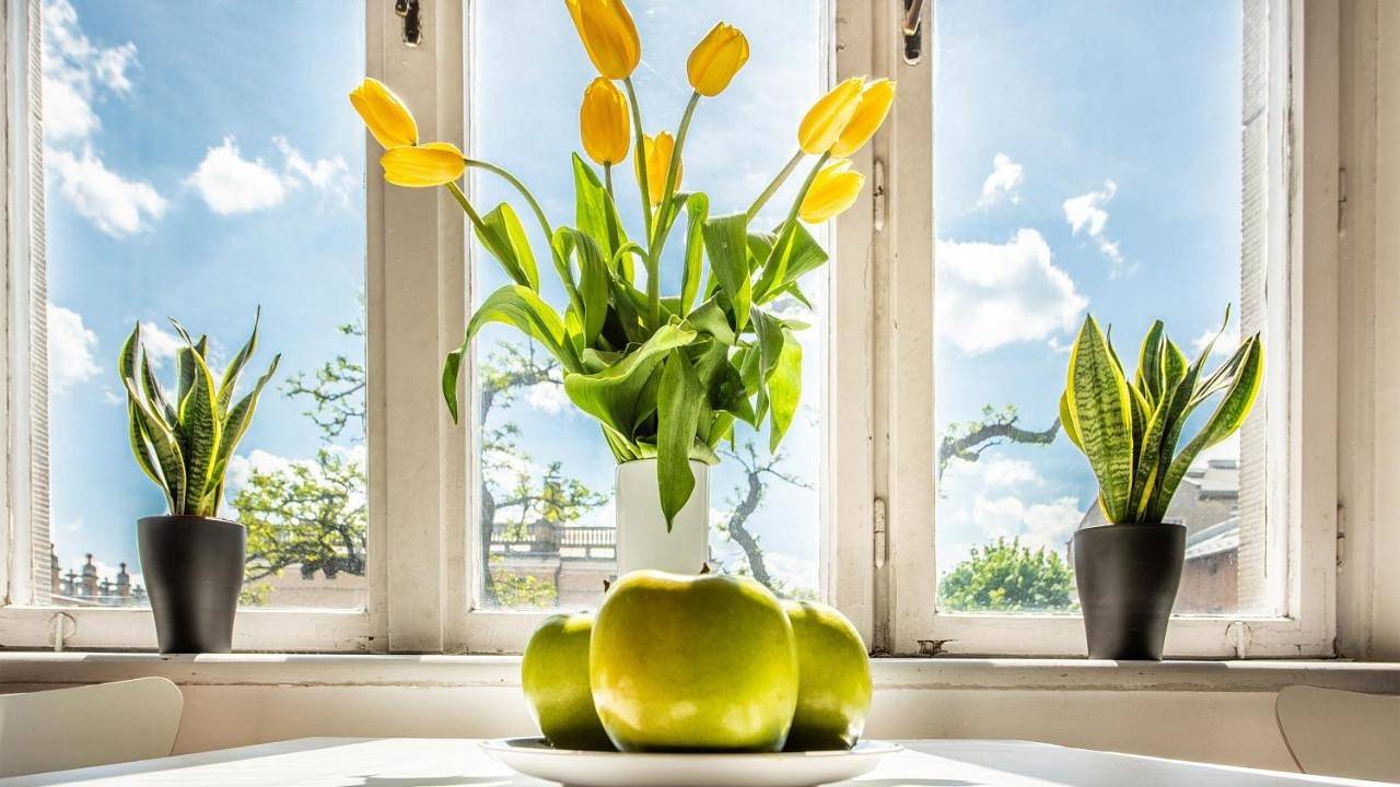 Budget Double Room in Krakau, Kleinpolen