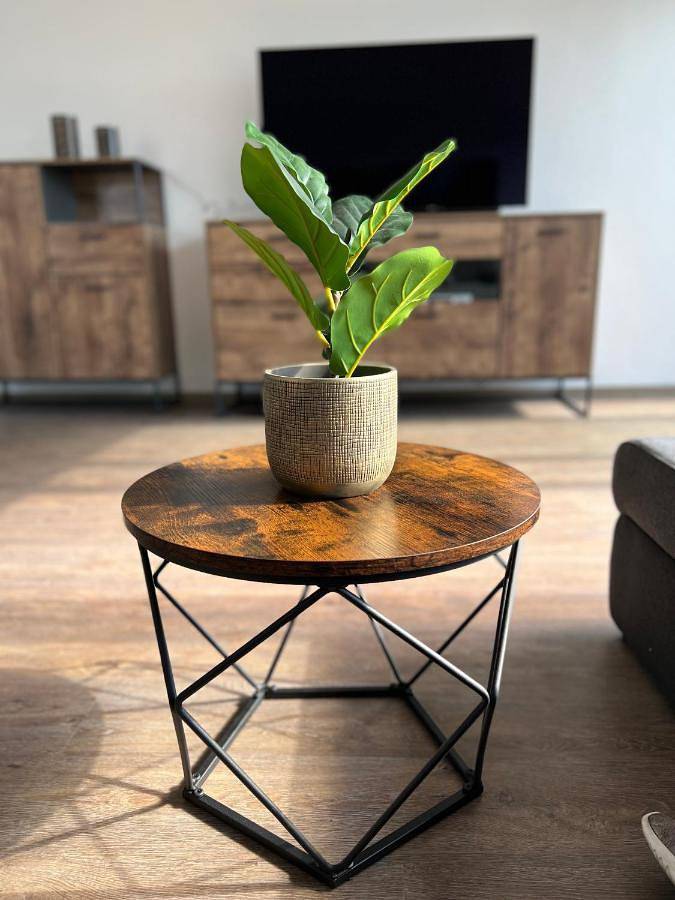 Gîte pour 6 personnes, avec sauna ainsi que vue et terrasse, animaux acceptés à Ulm - 2