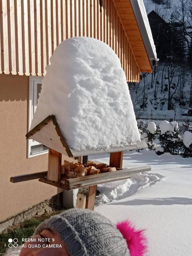 Cały apartament, Chalupa U Bobra in Rokytnice nad Jizerou, Karkonosze Czechy