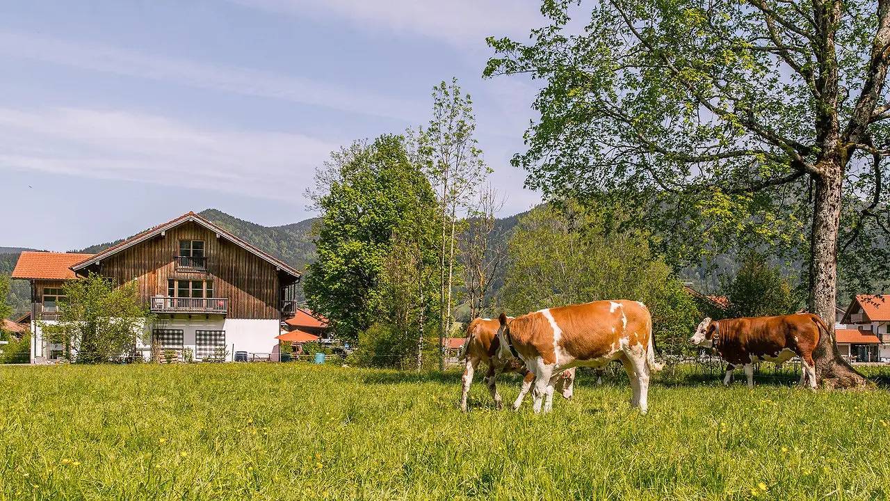 Ganze Ferienwohnung, Ferienwohnung für 6 Personen (115 m²) in Lenggries in Brauneck (Lenggries), Lenggries