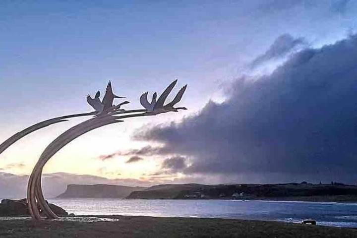 Gîte pour 6 personnes, avec vue à Ballycastle - 4