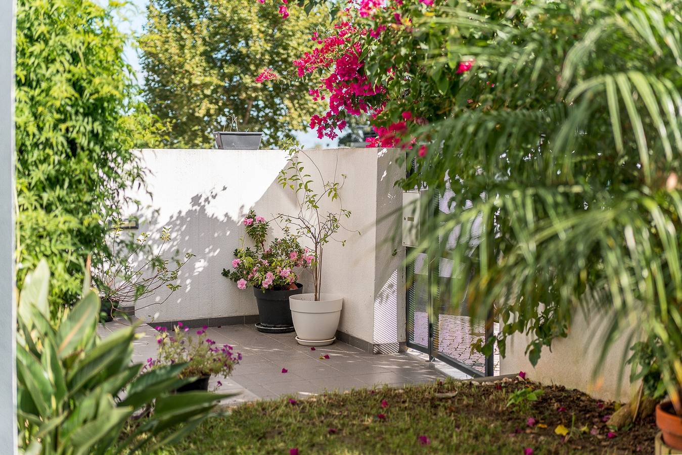 Suite privada Quarto do Papagaio - Terraza, jardín y entrada independiente in Palmela, Halbinsel von Setúbal